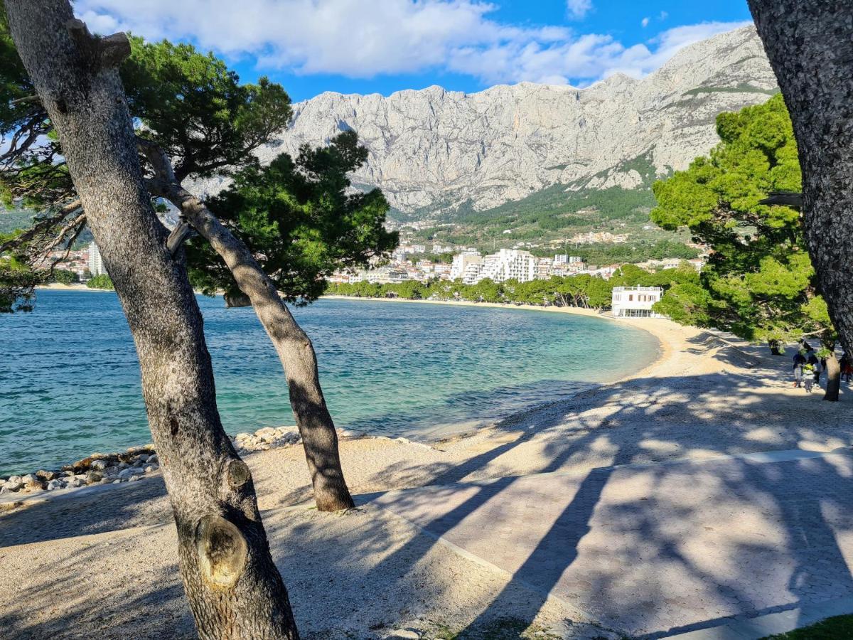 Apartment Ivona With Beautiful Seaview Makarska Eksteriør billede